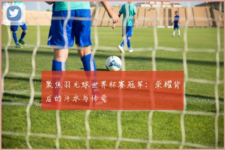 聚焦羽毛球世界杯赛冠军:荣耀背后的汗水与传奇