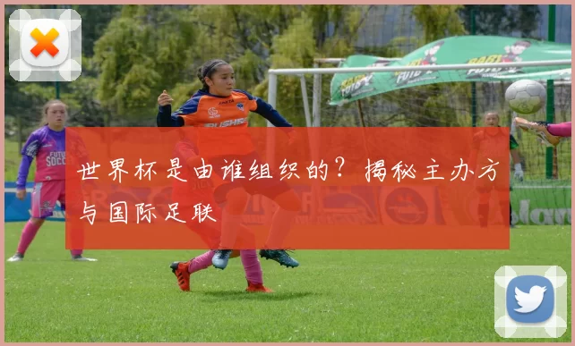 世界杯是由谁组织的?揭秘主办方与国际足联