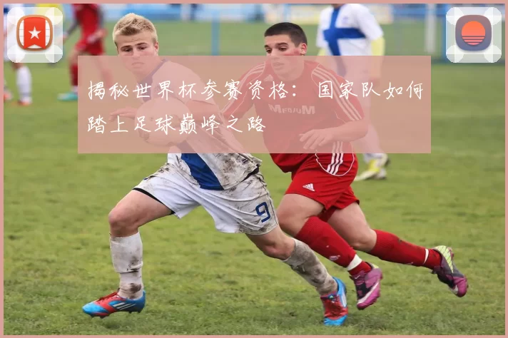 揭秘世界杯参赛资格：国家队如何踏上足球巅峰之路