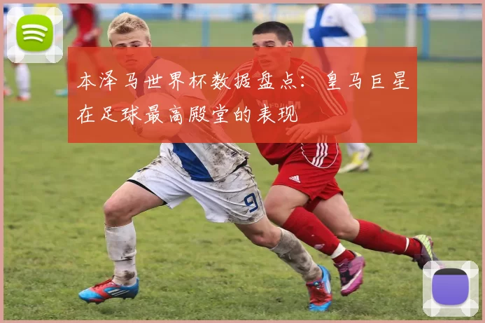 本泽马世界杯数据盘点：皇马巨星在足球最高殿堂的表现