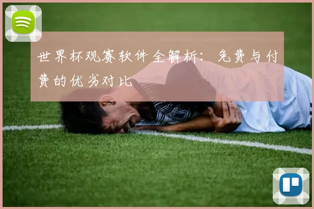 世界杯观赛软件全解析：免费与付费的优劣对比