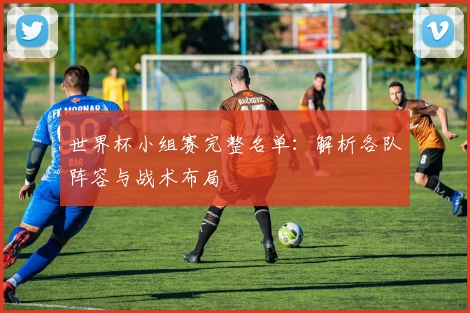 世界杯小组赛完整名单：解析各队阵容与战术布局