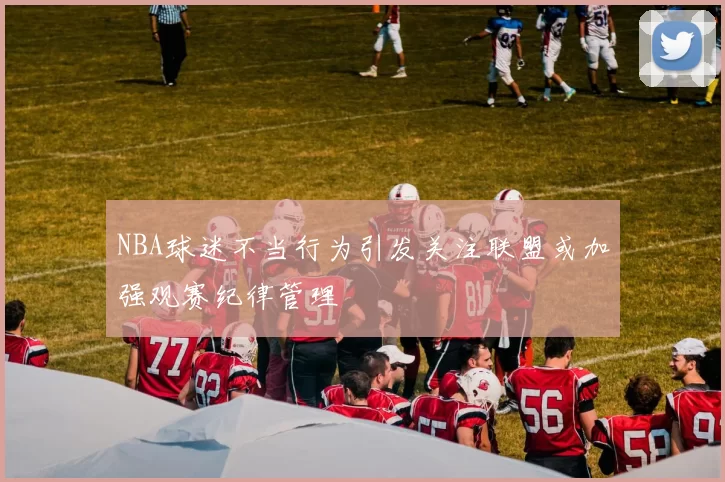 NBA球迷不当行为引发关注联盟或加强观赛纪律管理