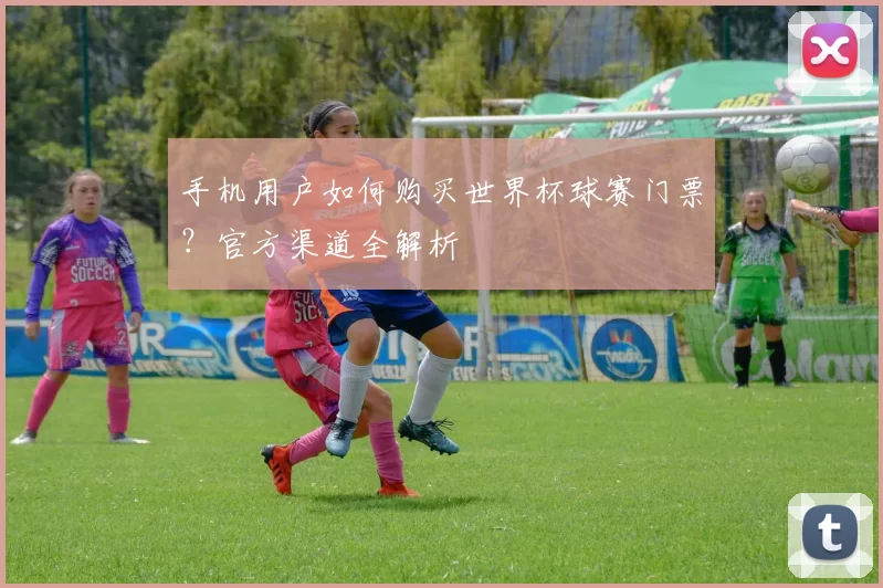 手机用户如何购买世界杯球赛门票?官方渠道全解析