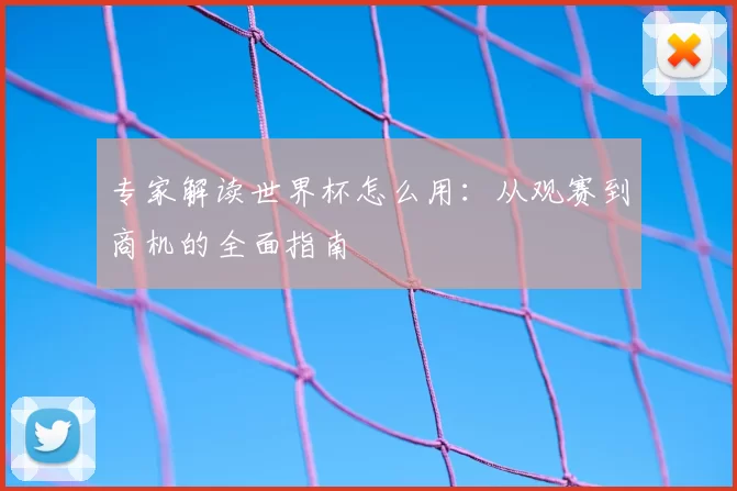 专家解读世界杯怎么用:从观赛到商机的全面指南
