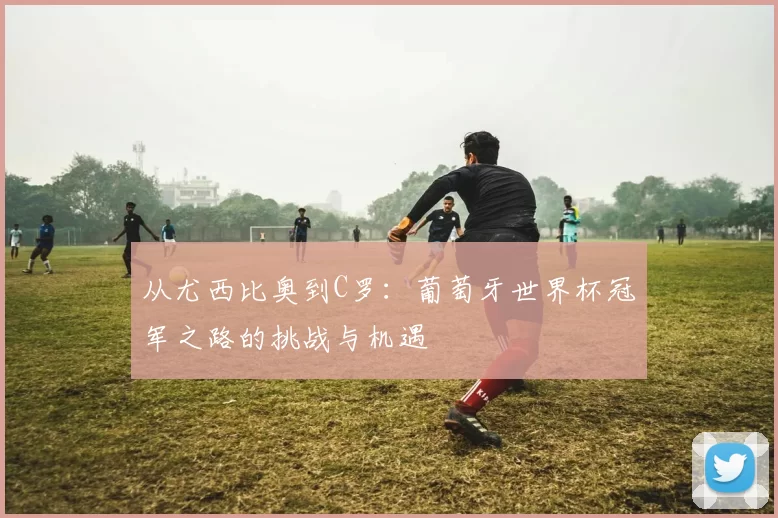 从尤西比奥到C罗:葡萄牙世界杯冠军之路的挑战与机遇
