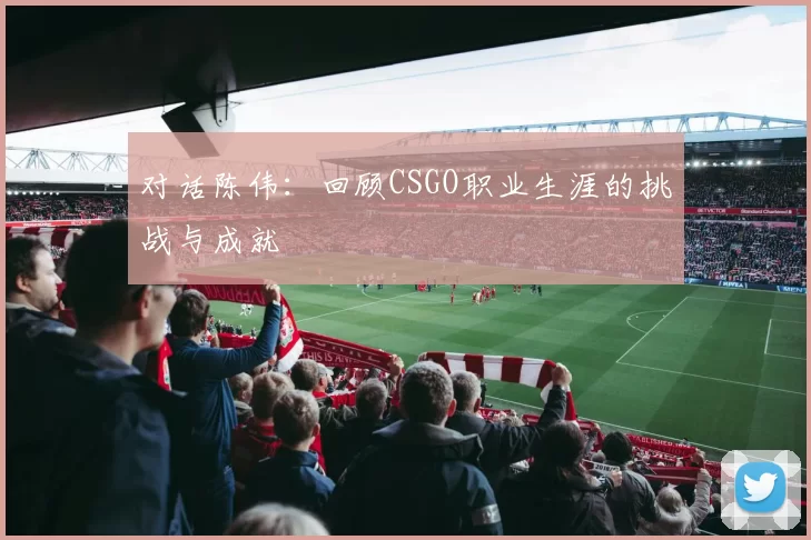 对话陈伟：回顾CSGO职业生涯的挑战与成就