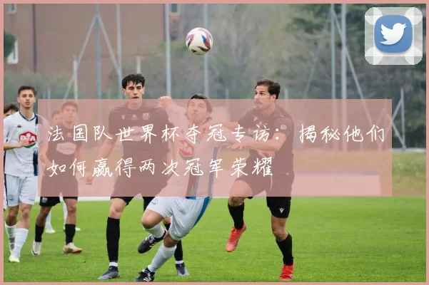 法国队世界杯夺冠专访:揭秘他们如何赢得两次冠军荣耀