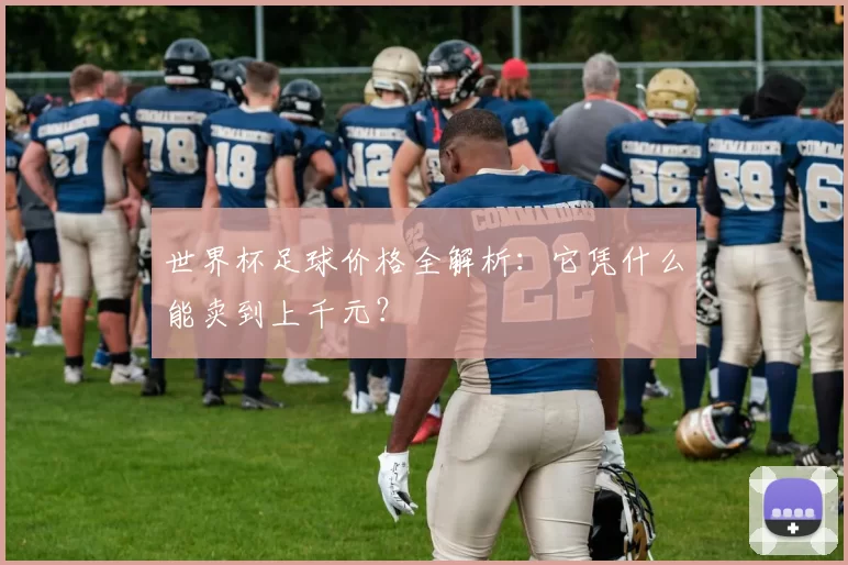 世界杯足球价格全解析:它凭什么能卖到上千元?