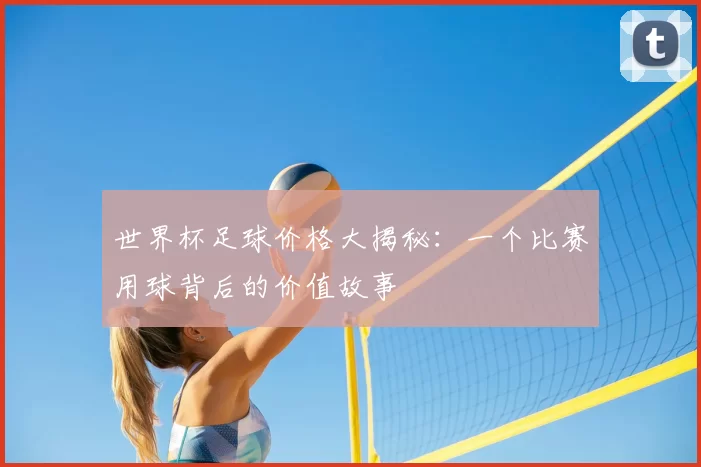 世界杯足球价格大揭秘:一个比赛用球背后的价值故事
