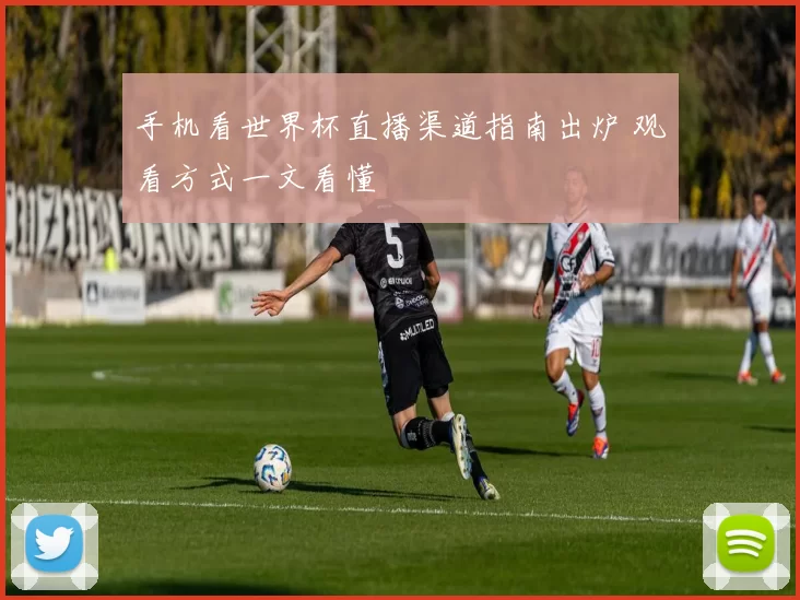 手机看世界杯直播渠道指南出炉 观看方式一文看懂