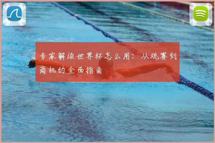 专家解读世界杯怎么用：从观赛到商机的全面指南